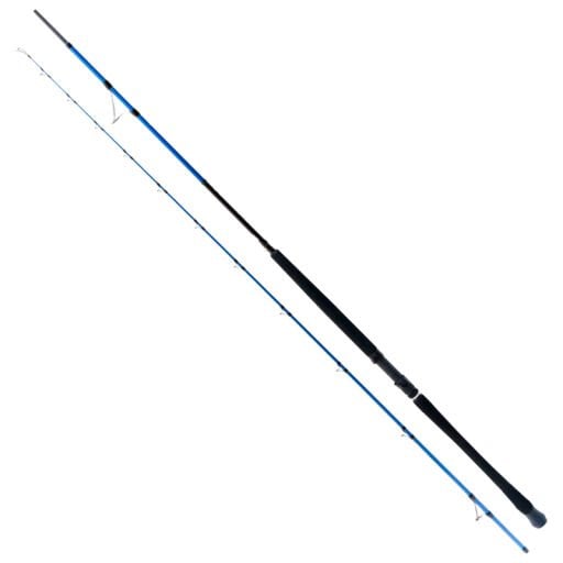 Shore Jig Kamışlar 