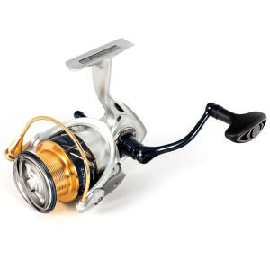 Ryuji İle Spine Başlangıç Seti