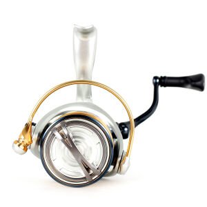 Ryuji İle Spine Başlangıç Seti