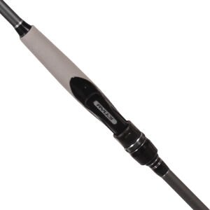 Ryuji İle Spine Başlangıç Seti