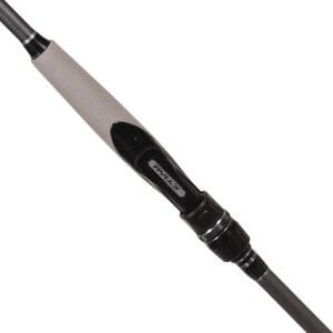 Ryuji İle Spine Başlangıç Seti