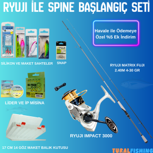 Ryuji İle Spine Başlangıç Seti
